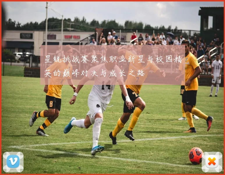 星锐挑战赛聚焦职业新星与校园精英的巅峰对决与成长之路