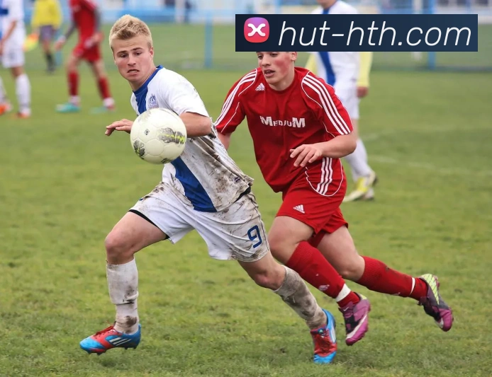 hth体育平台生态图